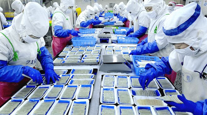 從“原字號”到“產(chǎn)業(yè)群” 丹東“藍(lán)色引擎”的逆勢崛起與商貿(mào)新篇